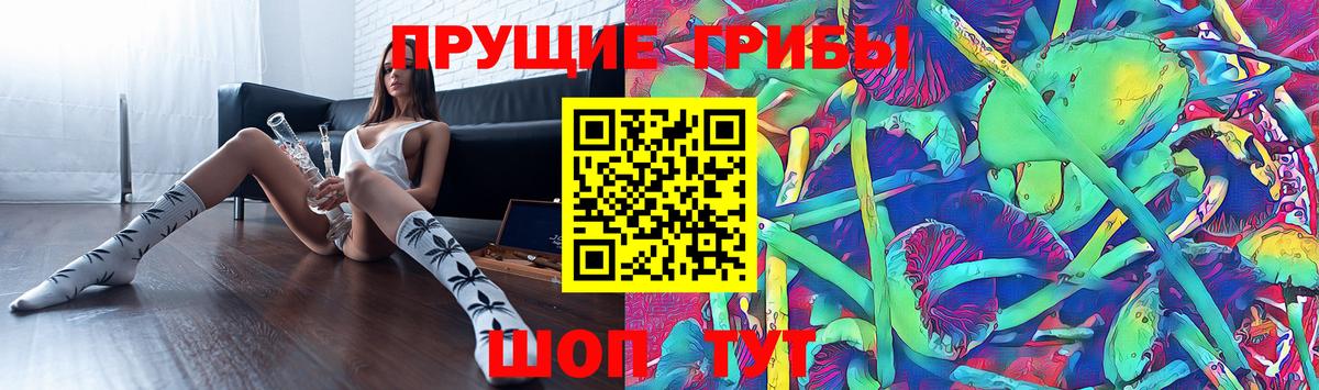 Псилоцибиновые грибы MAGIC MUSHROOMS Ногинск